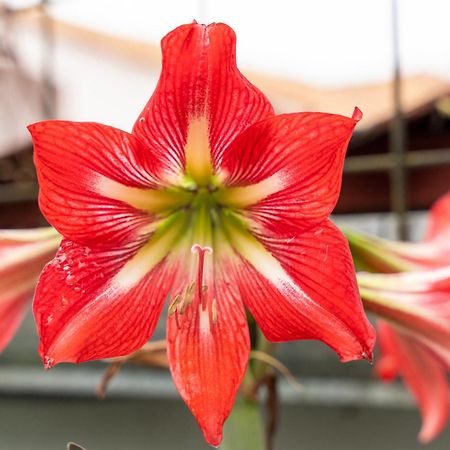 Markinkia - Estancia Amazonica Макас Экстерьер фото