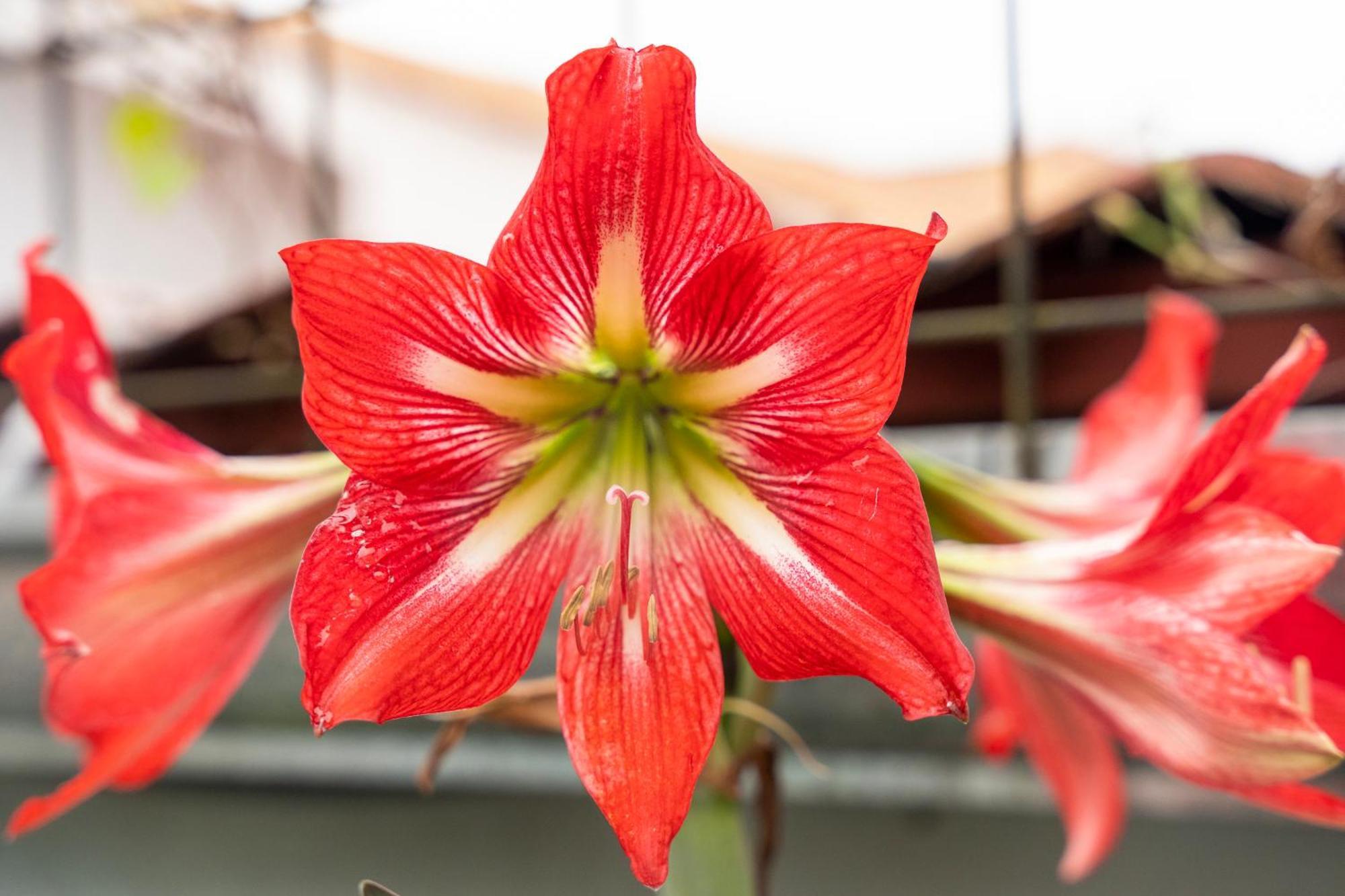Markinkia - Estancia Amazonica Макас Экстерьер фото