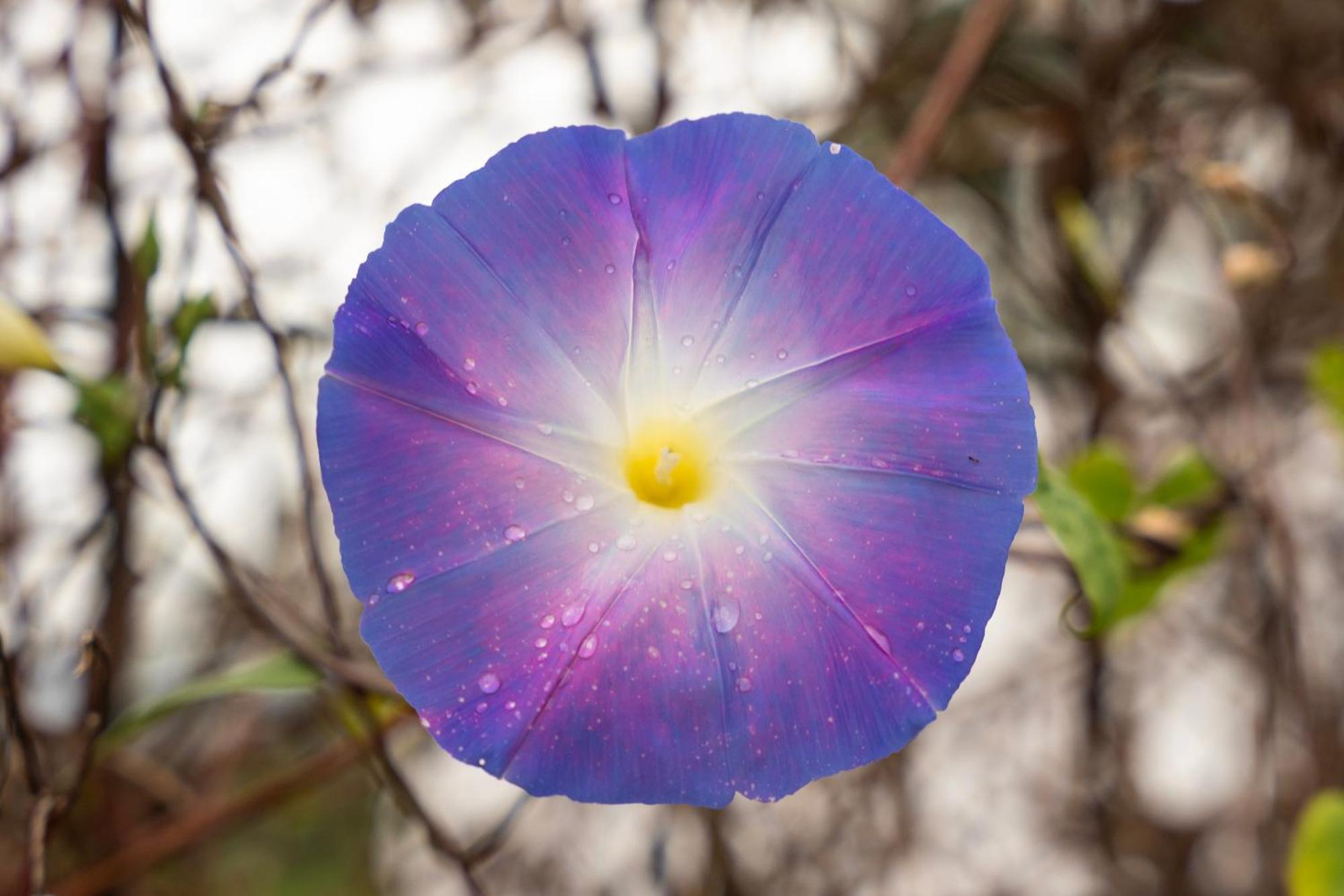 Markinkia - Estancia Amazonica Макас Экстерьер фото